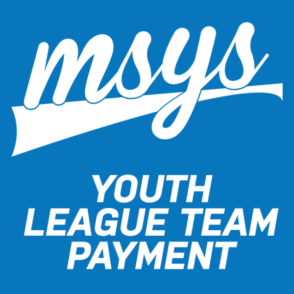 Youth League Team Payment